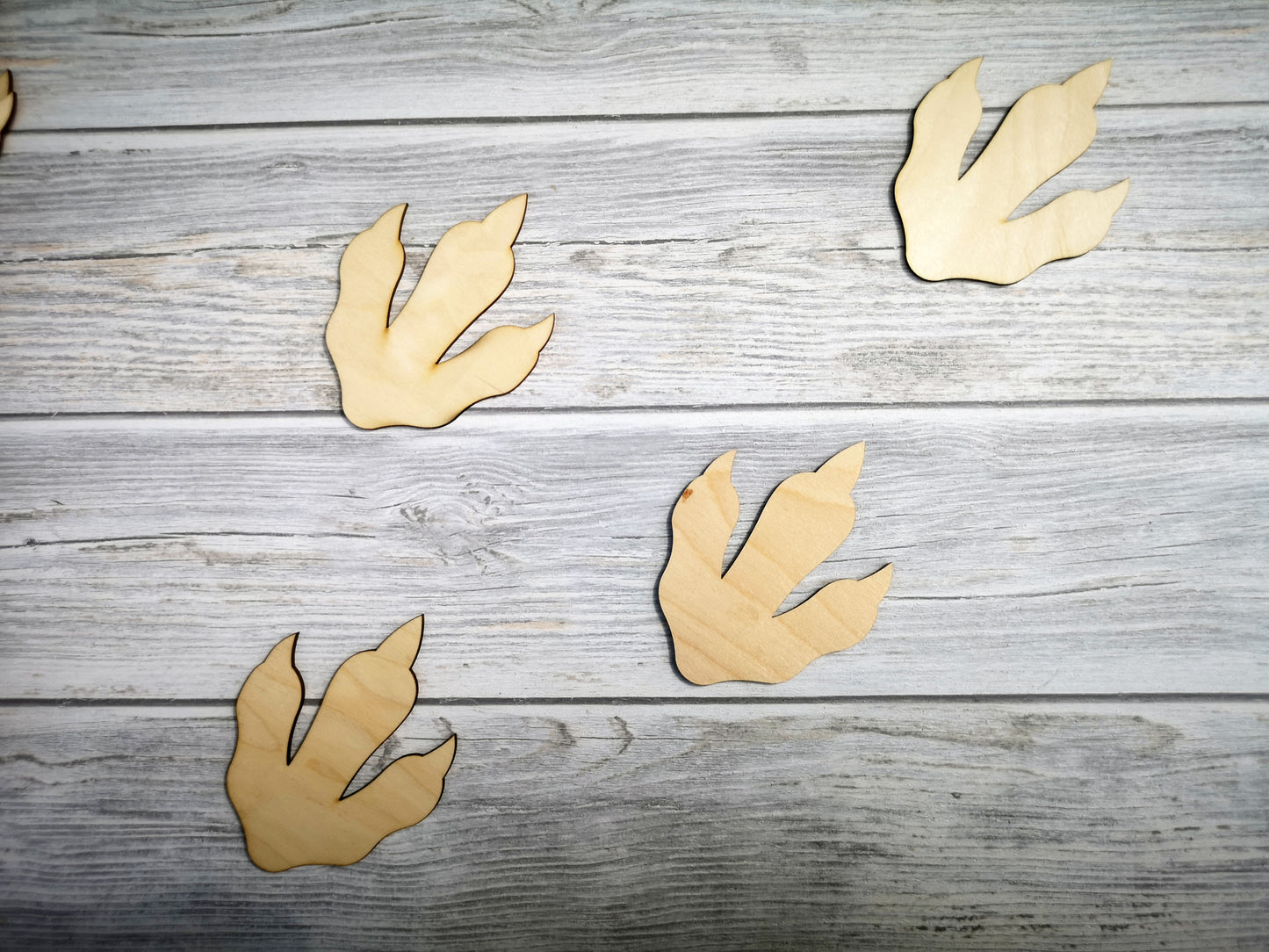 Dinosaur Footprints Wall Decorations | T-REX Footprint Shape